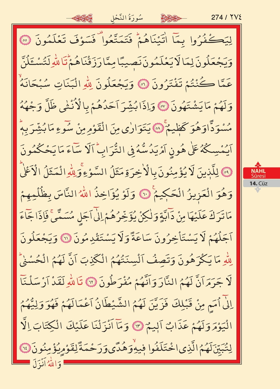 Kuran'ı Kerim 273.sayfa