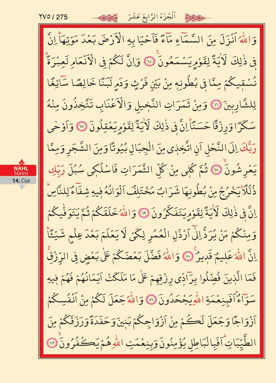 Kuran'ı Kerim 274.sayfa