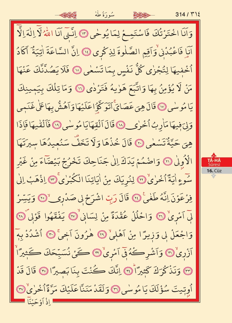 Kuran'ı Kerim 313.sayfa