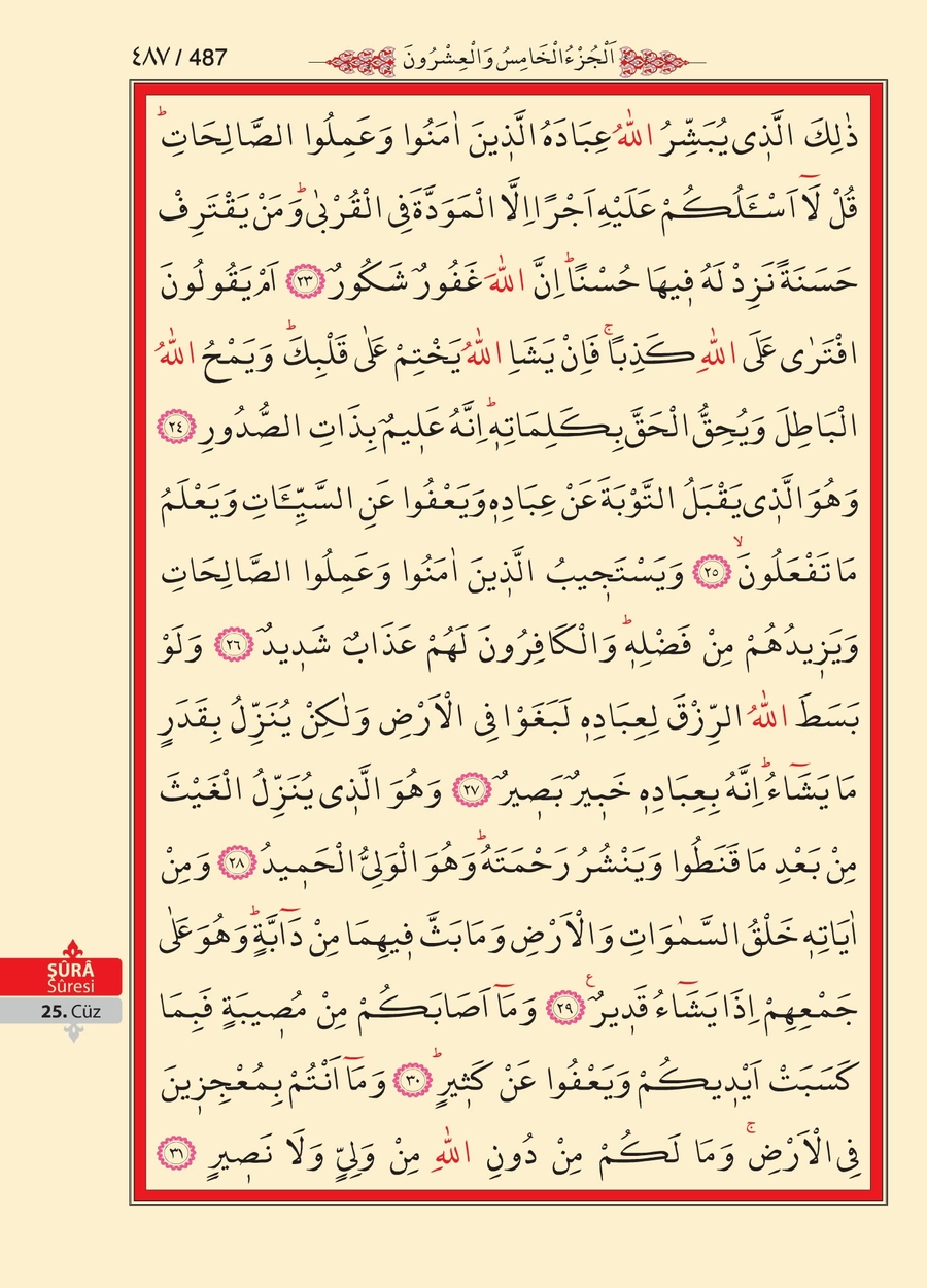 Kuran'ı Kerim 486.sayfa